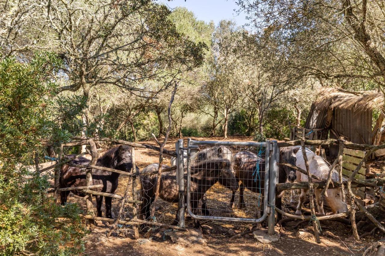 Finca Es Fangar Villa